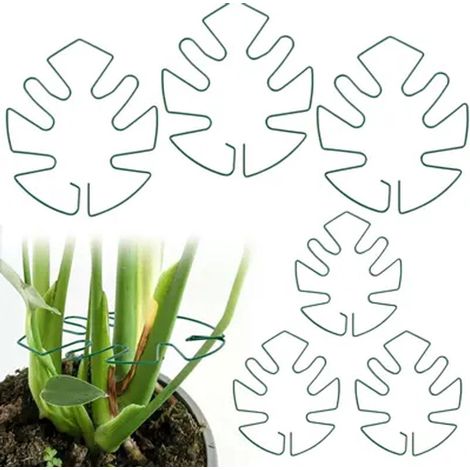 Supports pour plantes - Lot de 6 - Supports pour Monstera - Supports pour tiges de plantes - Forme de feuille de Monstera - Stabilisateurs pour plantes grimpantes - Convient aux Monstera et aux plante (1/5)