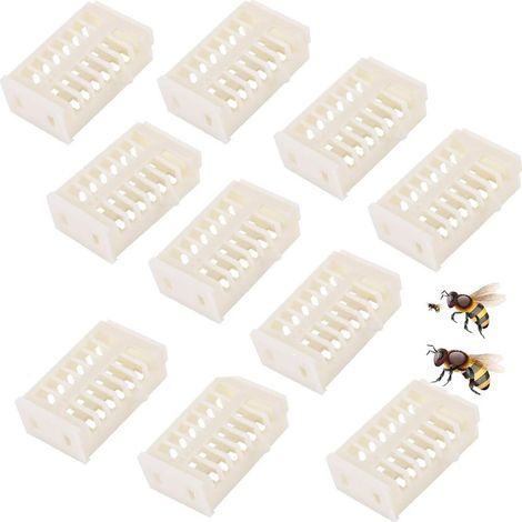 Blanc Plastique Reine Abeille Cage Plastique Abeille Reine Cage de Marquage Blanc Matériel D'élevage de Reines Abeille Vous Aider à Attraper Abeille Rapidement Outil Essentiel pour L'apiculteur (1/5)