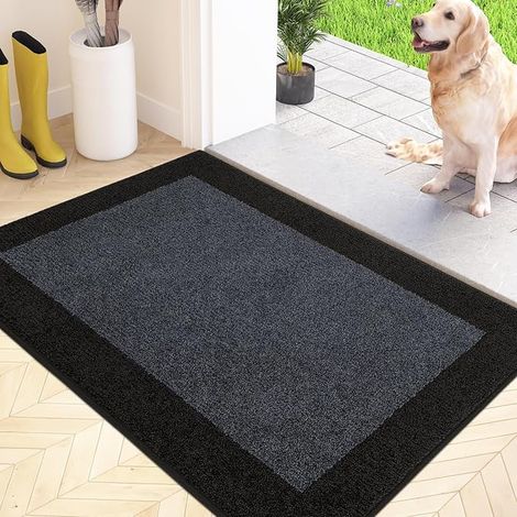 Paillasson Interieur Entree 50 x 80 cm, Tapis d'Entrée Antidérapant et Lavable en Machine, Tapis de Sol Douces Absorbantes pour Chien, Porte, Couloir (1/5)