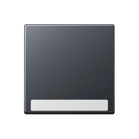 Jung Bascule 1 bouton, avec champ d'inscription, Thermoplast laqué, Série A, anthracite mat A 590 BF NA ANM