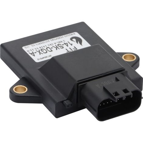Universelles elektronisches Steuergerät (ECU) 14-SK-DGX-A. Kompatibel mit Motorrädern, Elektrofahrzeugen, Dreirädern und Rollern. Steuergerät für elektronische Kraftstoffeinspritzsysteme, Motorsteuerg (1/4)