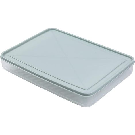 Fast Freeze Container for Refrigerator, Transparent PP Storage Box with Dustproof Lid, Raised Bottom, Stackable Design for Freezing (1/4)