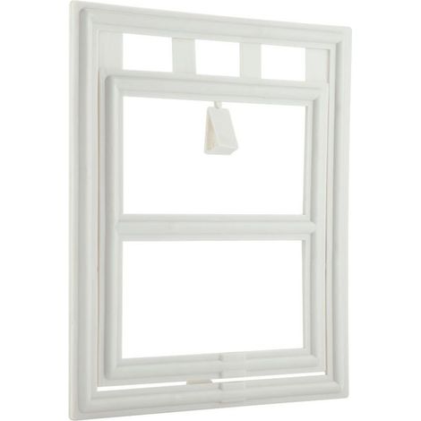 Sportello in plastica per cani, cuccioli e gatti, con chiusura magnetica e sportello di sicurezza per porte con zanzariera (bianco, grande) (1/4)