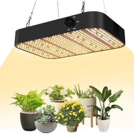 Lampe pour plantes, Lumière pour la croissance des plantes, Lumière LED pour plantes, Lumière pour plantes d'intérieur, Lumière pour plantes à haut rendement Quantum Board, KINSI (1/4)