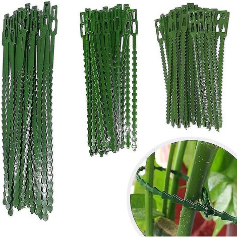 CREA 160 pièces attaches de jardinage réglables, attache et support pour plantes, aide (1/4)