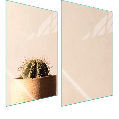 Assiette de protection en verre pour la cuisine 2x35x52 cactus (1/5)
