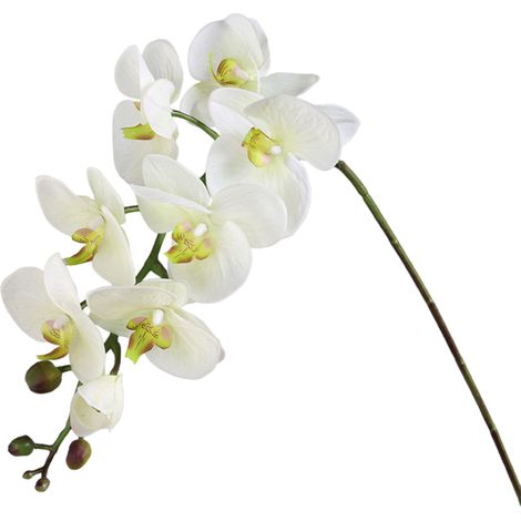 Fleur Décorative Orchidée Blanche Artificielle en Plastique pour Décoration Maison H100 cm - PANGIVO (1/2)