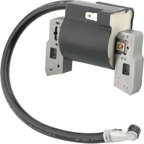 Bobine D Allumage Haute Tension - Pour Moteurs 5 Cv Horizontal Et Vertical - Tondeuses Et Petits Moteurs 4 Temps - 1 Unite (1/4)