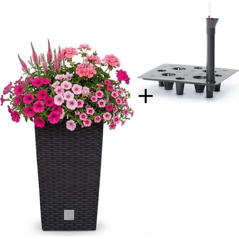 Blumentopf mit Einsatz Bewässerungssystem Pflanztopf Blumen Anthrazit 50 cm (1/5)