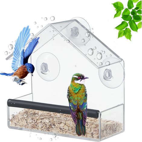 Bain d'oiseaux pour balcon, nichoir à oiseaux transparent, mangeoire à oiseaux à suspendre, distributeur de nourriture avec gamelle et 3 ventouses, pour oiseaux sauvages, pinsons, merles bleus, 15 x 1 (1/5)