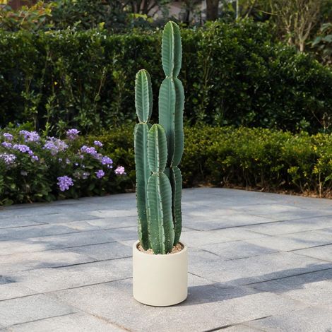 Plante artificielle cactus vert 111 cm en pot 25 x 25 x 111 cm (1/5)