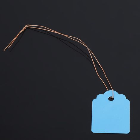 200 blaue Gartenetiketten, hängende PVC-Saatgutstecker für Blumenpflanzen, langlebige Etiketten für den Gemüsegarten im Freien (1/5)