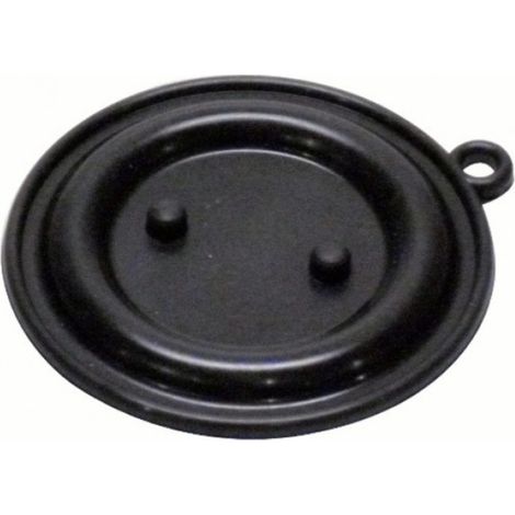 Membrana calentador Cointra 5 lts. c/tetones