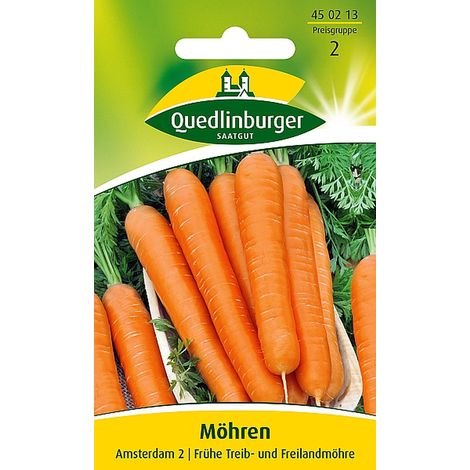 Quedlinburger Saatgut – Carotte Amsterdam 2 – Graines de légumes, carotte à botteler précoce, longueur 10 à 12 cm