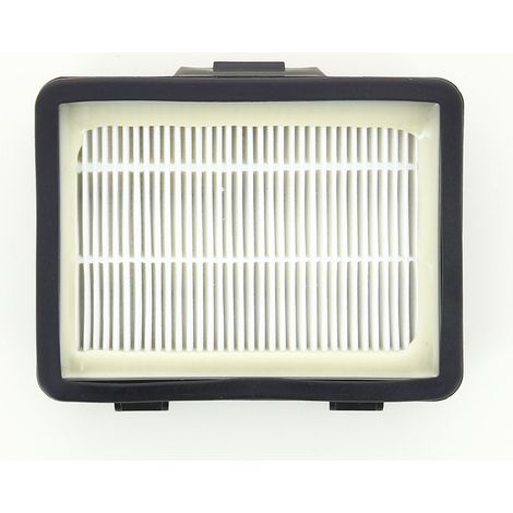 Filtre hépa 17001740 pour Aspirateur BOSCH , CLEANN'N (1/2)