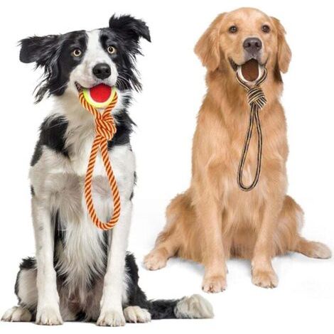 Jouet à corde pour chien en coton 100%, favorable à la santé mentale, dentaire et au nettoyage des dents des chiens. Longueur : 28 cm. (1/4)