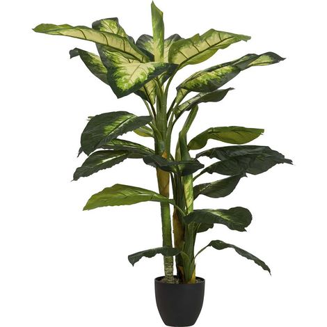 Gepunktete Dieffenbachia-Pflanze mit Topf 55 x 55 x 130 cm (1/5)