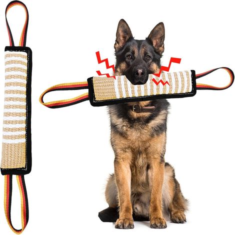Bâtonnet à mâcher pour le dressage des chiens (1/5)