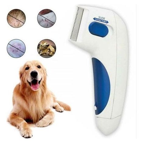 Peigne électrique anti-puces pour animal de compagnie pour chat et chien, peignes de toilettage pour enlever efficacement les puces, peigne de nettoyage des poux, outils de toilettage (1/5)