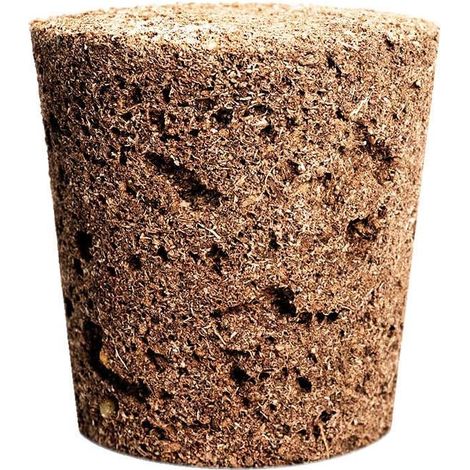 EMSA CLICK & GROW MENTHE POIVRÉE (M5260800) CLICK AND GROW (1/2)