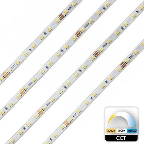 TrAdE Shop Traesio - Striscia 980led 62w Cct Da 3000k A 6500k 24v Impermeabile Dimmerabile Bobina 5mt - (1/4)
