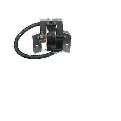 BRIGGS & STRATTON Rasenmähermotor DOV Spule 793449