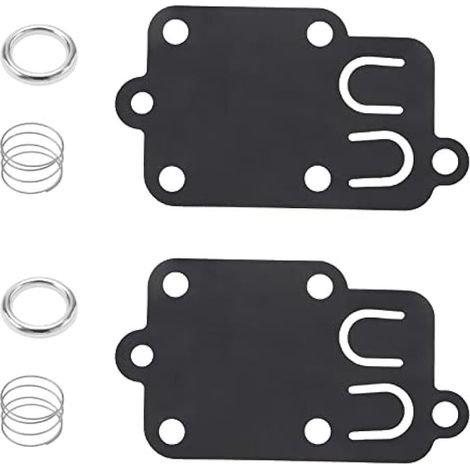 Kit de joint et diaphragme de carburateur 2 jeux 270026 272538 272538S 5021H compatible moteurs Briggs & Stratton 3 à 5 CV pièces outil jardin (1/5)
