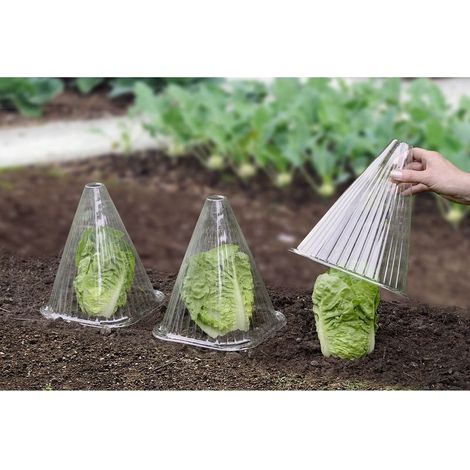 6 Housses pour plants (1/2)