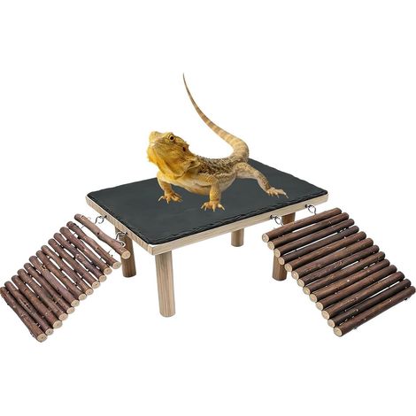 Dock pour reptiles - Facile à installer à plat avec rampe en bois (1/5)