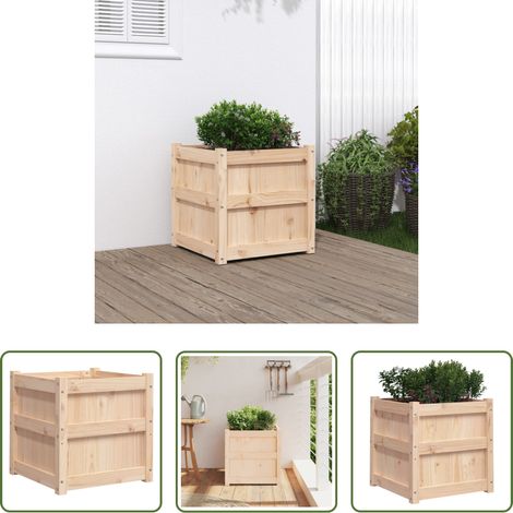 Jardin en terrasse -  Jardinière 50x50x50 cm bois de pin massif (1/5)