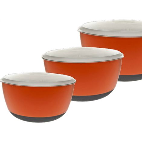 Set 3 Ciotole in acciaio inox con coperchio in plastica per cani