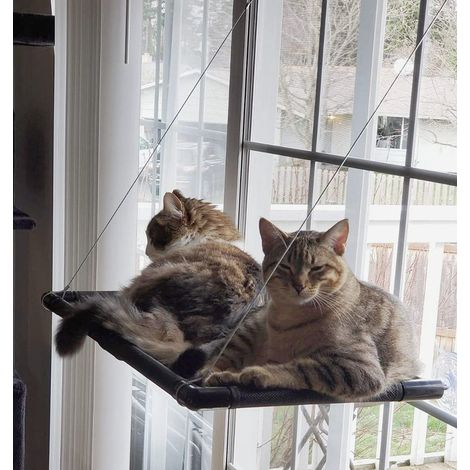Chatte Hamac Fenêtre Lit Perchoir Solaire Siège Repos Félin Coussin Mural Chaton Nid Suspendu Version Améliorée Renforcée Sécurité Étagère Chat Supporte 27 kg (1/5)