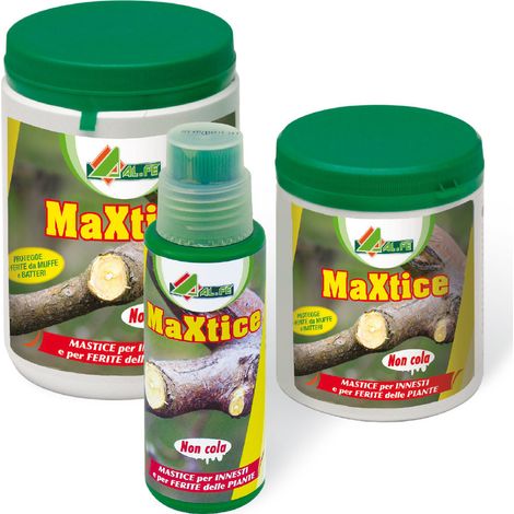Maxtice 250gX24PZ mastice barattolo con pennello