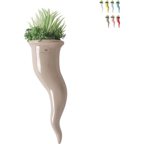 Pianta grassa succulenta in vaso cornetto di ceramica Paola Rolando Partenope - Beige