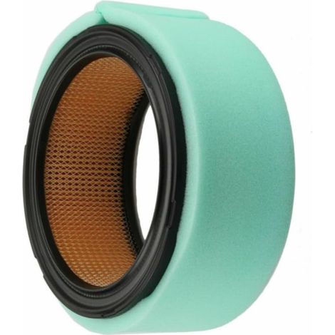 Air Compatible pour workman 3100 Souffleur Débris 800 Air Compatible , diamètre 7 pouces, hauteur 3 pouces, compatible moteurs série CH et CV (1/5)