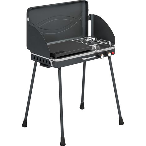 Portable 2-Burner Gas Grill, 7 kW, Tabletop Convertible