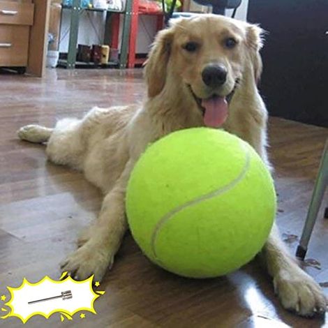 Balle de tennis géante de 24 cm pour chien, grand jouet pour animaux de compagnie, balle de sport amusante pour l'extérieur avec aiguille gonflable, convient aux chiens de petite, moyenne et grande ta (1/5)