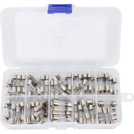 Assorted Kit of 100 Glass Fuses, 5 x 20 mm, Glass Cartridge, Fast-Blow Glass Fuses, 10 Values 250V 0.2A 0.5A 1A 2A 3A 5A 6A 8A 10A 15A Mini Tube Fuses (1/5)