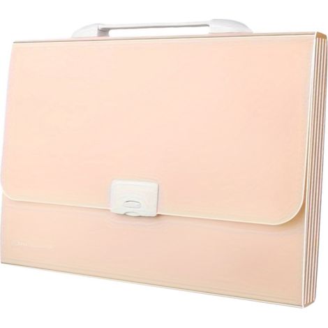 Organisateur de Documents Accordéon à 13 Poches - Caisse de Stockage à Fermeture Étanche avec Poignée Portable - Format A4/Lettre - 12 Étiquettes Incluses - Rose Clair (1/5)
