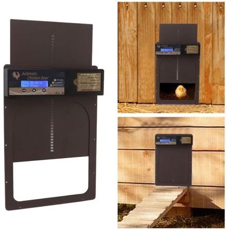 Automatische Hühnerstalltür, wetterfest (IP45) – Aluminium – Programmierbar mit Zeitschaltuhr – 100–240 V Netzanschluss (1/5)