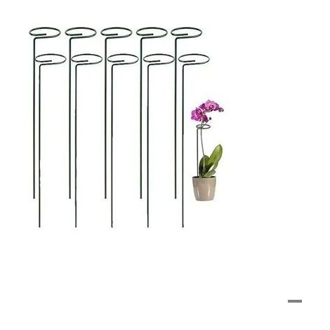 Tuteurs de plantes en acier - Lot de 10 pièces - Support de cage à plantes - Anneau de support en métal (1/4)