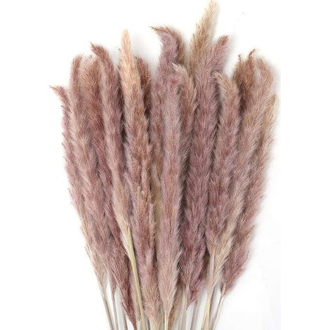 30 pcs Herbe de la Pampa, 45 cm Naturel Pampa Fleur Bouquet de Fleurs Sechees pour Vases, Boho Decoration Chambre Maison Salon, Mariage Photographier Table Décoration (1/3)