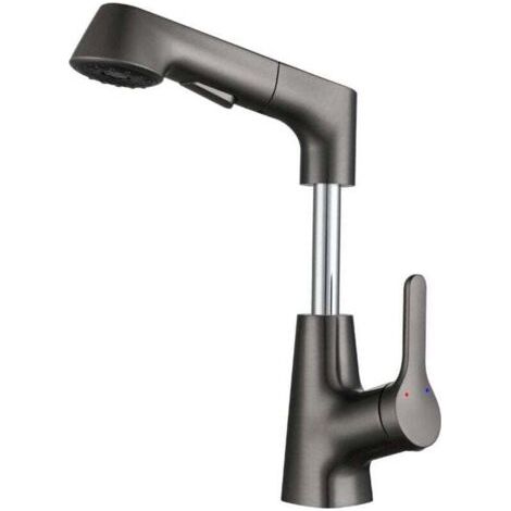 Küchenarmatur Ausziehbar, Spültischarmatur mit Brause Zwei Wasserstrahlarten, Armatur Küche 360° Schwenkbar, Mischbatterie Küche Edelstahl-Gris (1/4)