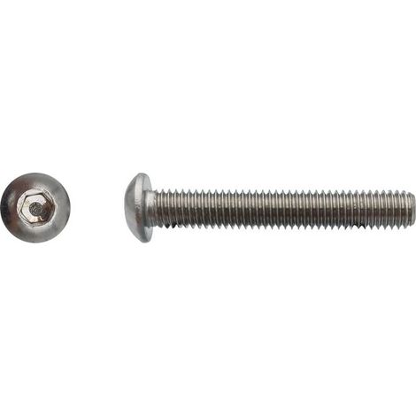 200 Vis Métaux Tête Bombée 6 Pans Creux BHC 6 x 10 mm - 7380-1 - Inox A4 - D-Work