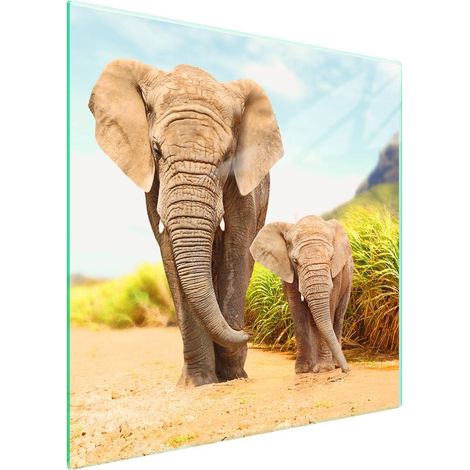 Piastra protettiva in vetro per piano cottura 50x52 Elefante (1/5)