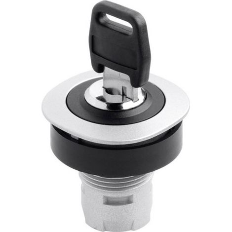 Schlegel RQJSSA18 interruptor con llave negro 90 grados