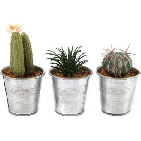 Pianta Artificiale Di Cactus In Vaso Leia