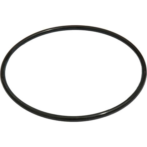 BESTWAY - P61733 - Guarnizione coperchio filtro 58391 e 58392