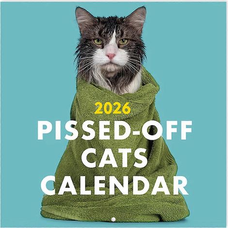 Calendrier original et unique pour les propriétaires de chats (2026 mois par page) - Un calendrier amusant et une excellente idée cadeau (1/4)