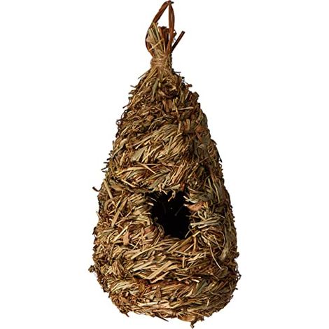 K Nest per la pastella di Grande (1/4)
